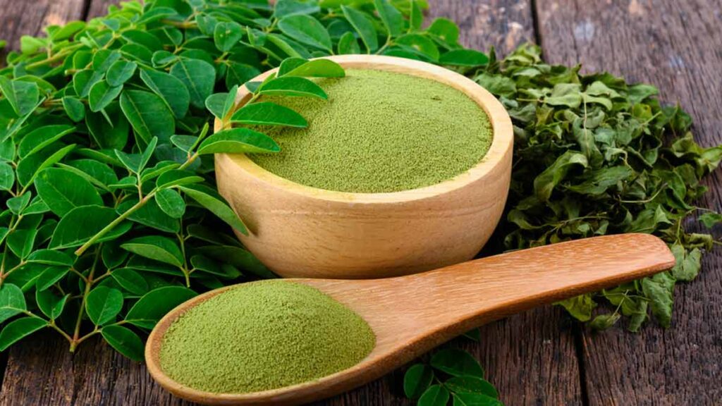 main moringa main moringa